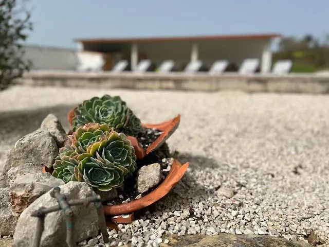 Βίλα Villavie Costadeprata